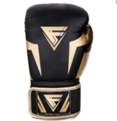 12OZ Boxing Training Gloves X-RIVAL