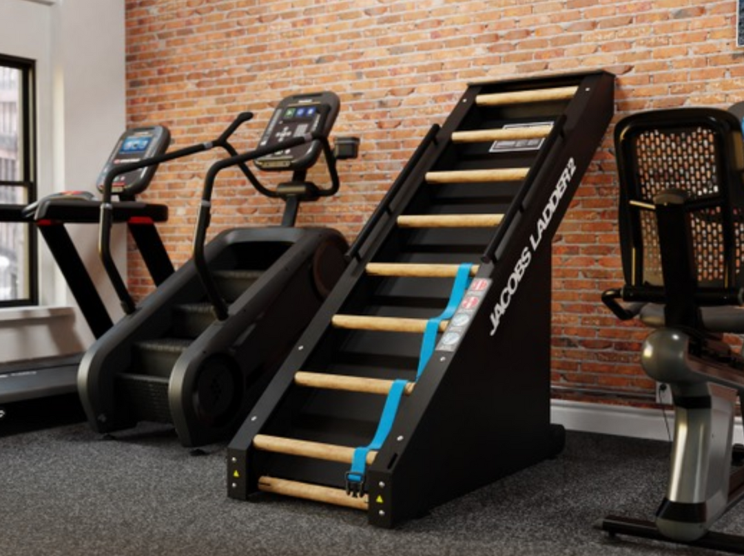 StairMaster Jacobs Ladder 2